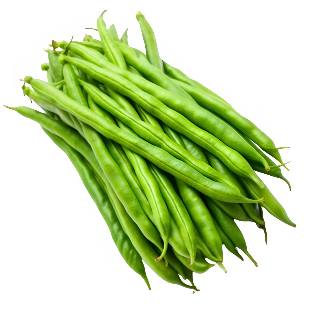 Beans Hybrid Seeds